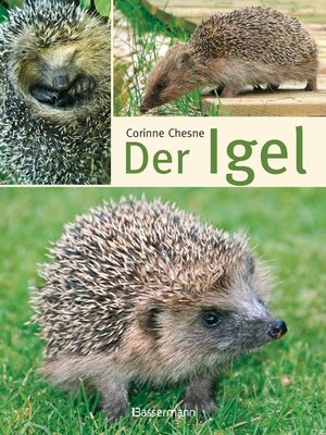 cover image of Der Igel